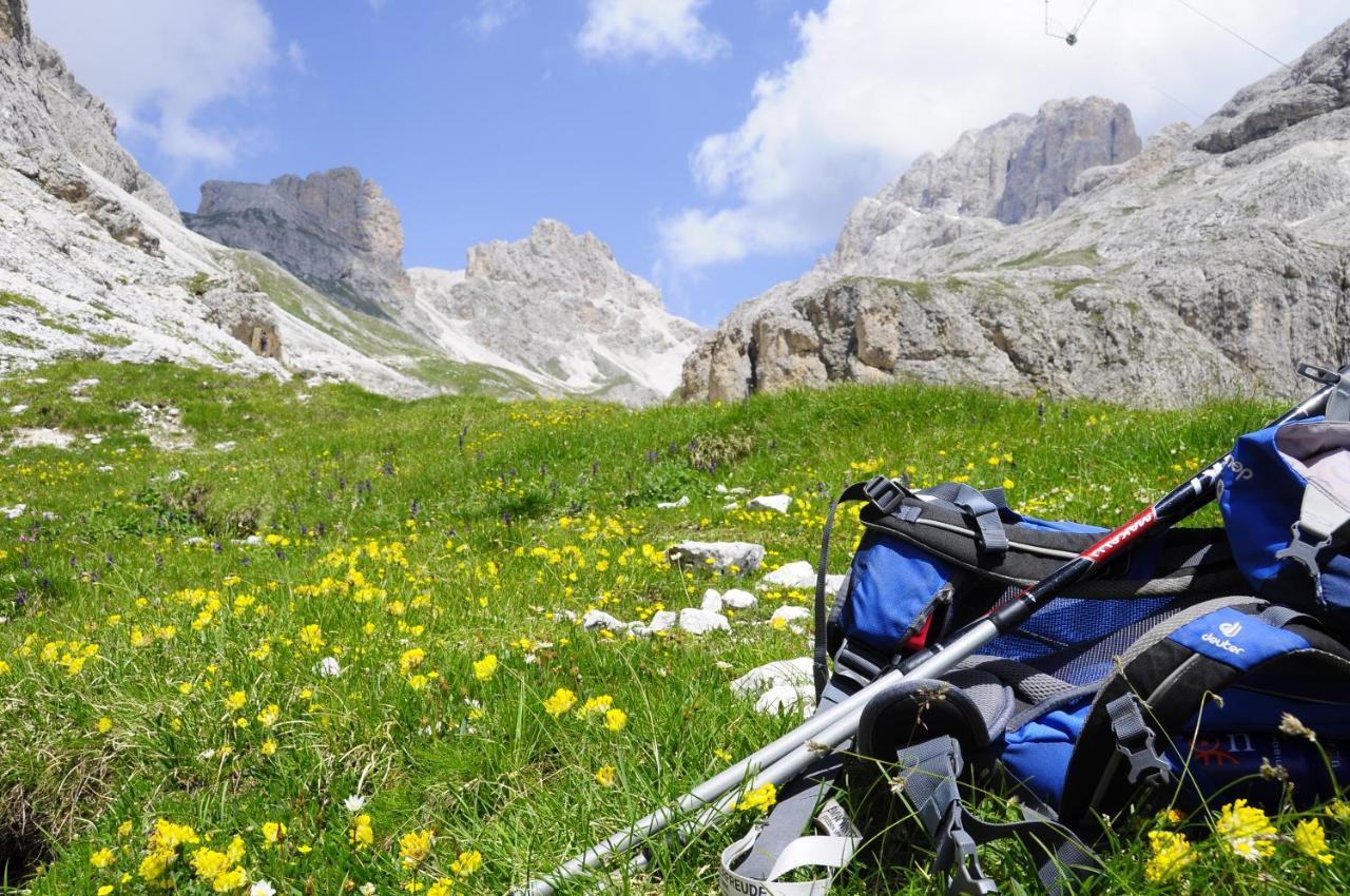 B&B B&Beautyfol Dolomites Adults Only Predazzo Exteriér fotografie
