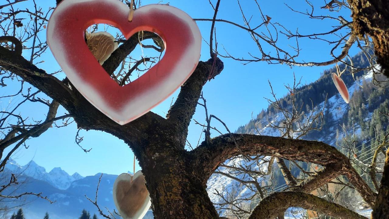 B&B B&Beautyfol Dolomites Adults Only Predazzo Exteriér fotografie