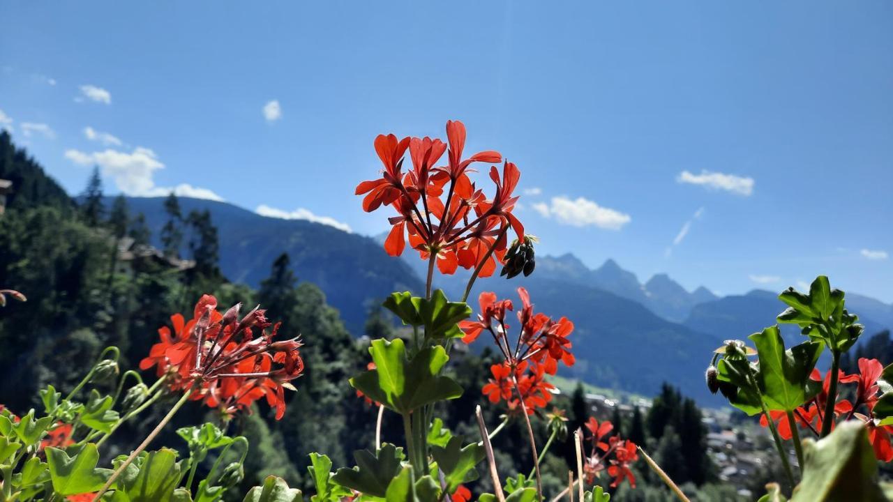 B&B B&Beautyfol Dolomites Adults Only Predazzo Exteriér fotografie