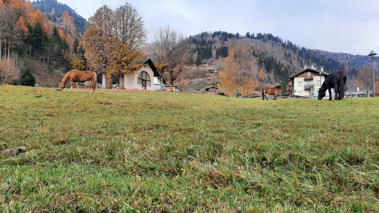 B&B B&Beautyfol Dolomites Adults Only Predazzo Exteriér fotografie