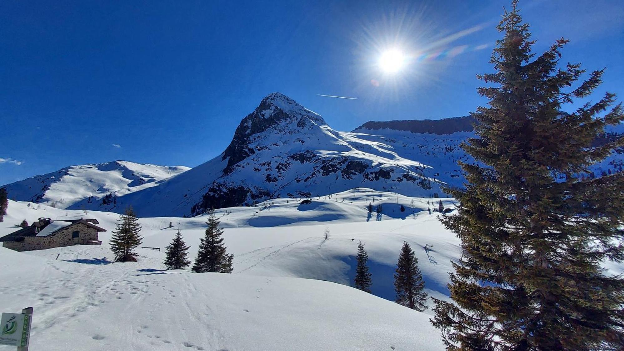 B&B B&Beautyfol Dolomites Adults Only Predazzo Exteriér fotografie