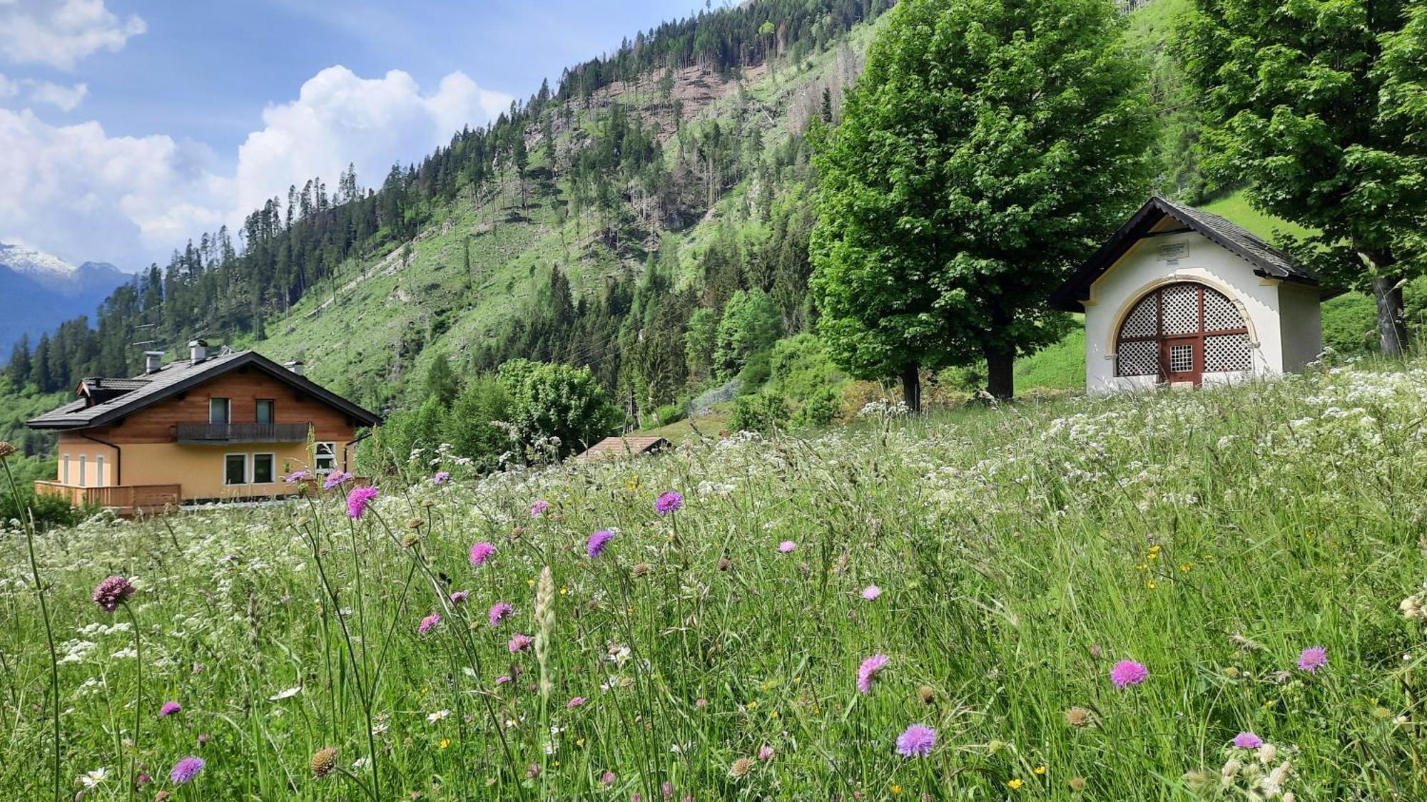 B&B B&Beautyfol Dolomites Adults Only Predazzo Exteriér fotografie