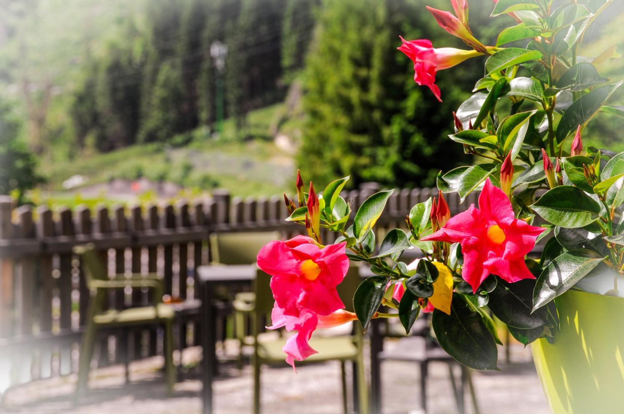 B&B B&Beautyfol Dolomites Adults Only Predazzo Exteriér fotografie