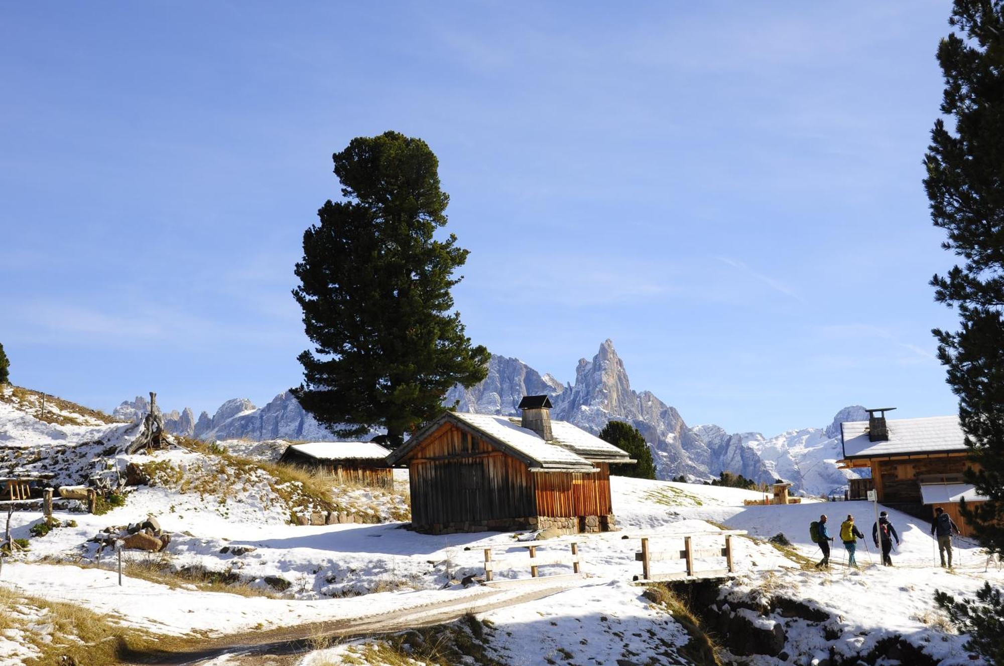 B&B B&Beautyfol Dolomites Adults Only Predazzo Exteriér fotografie