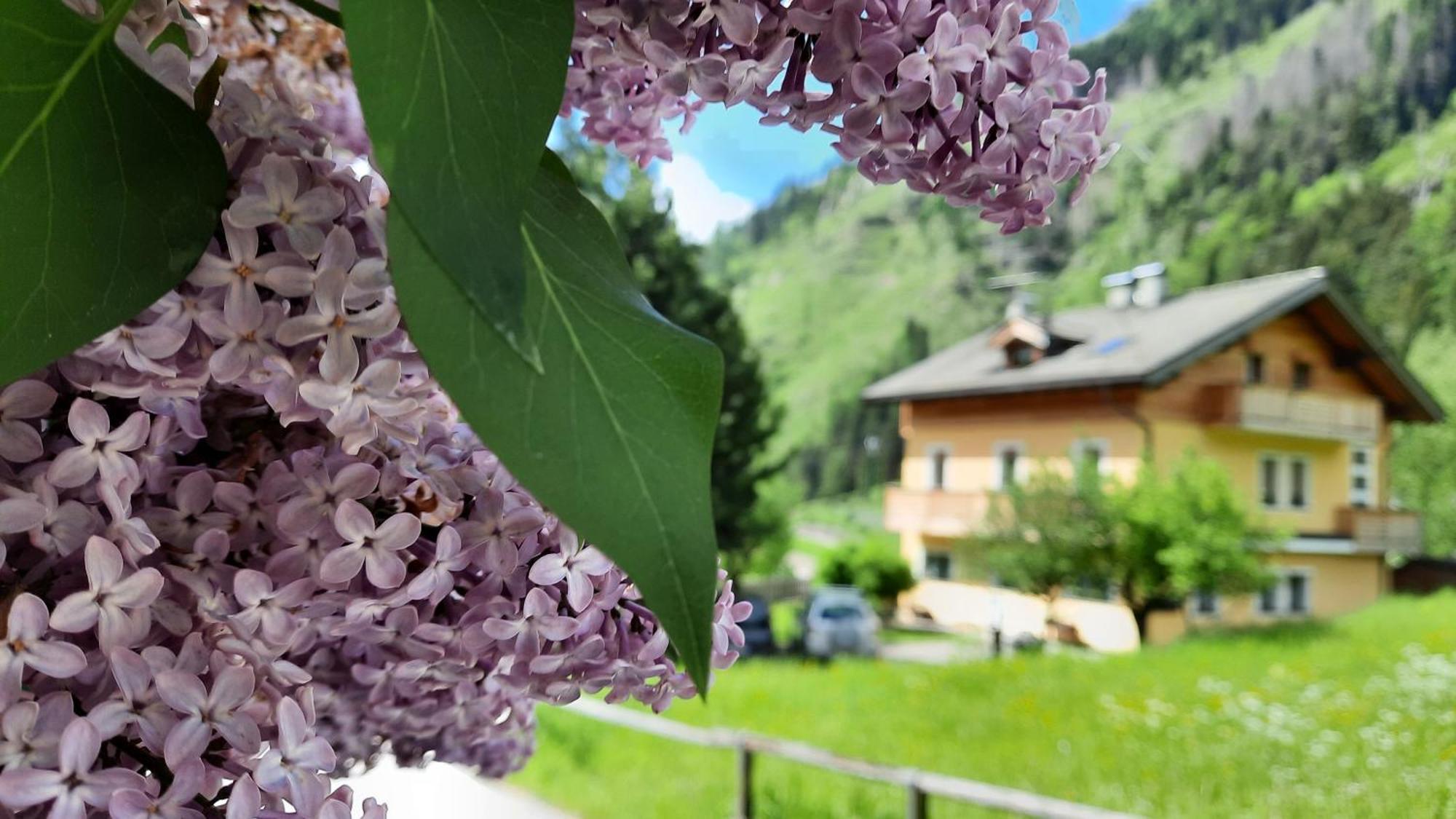 B&B B&Beautyfol Dolomites Adults Only Predazzo Exteriér fotografie