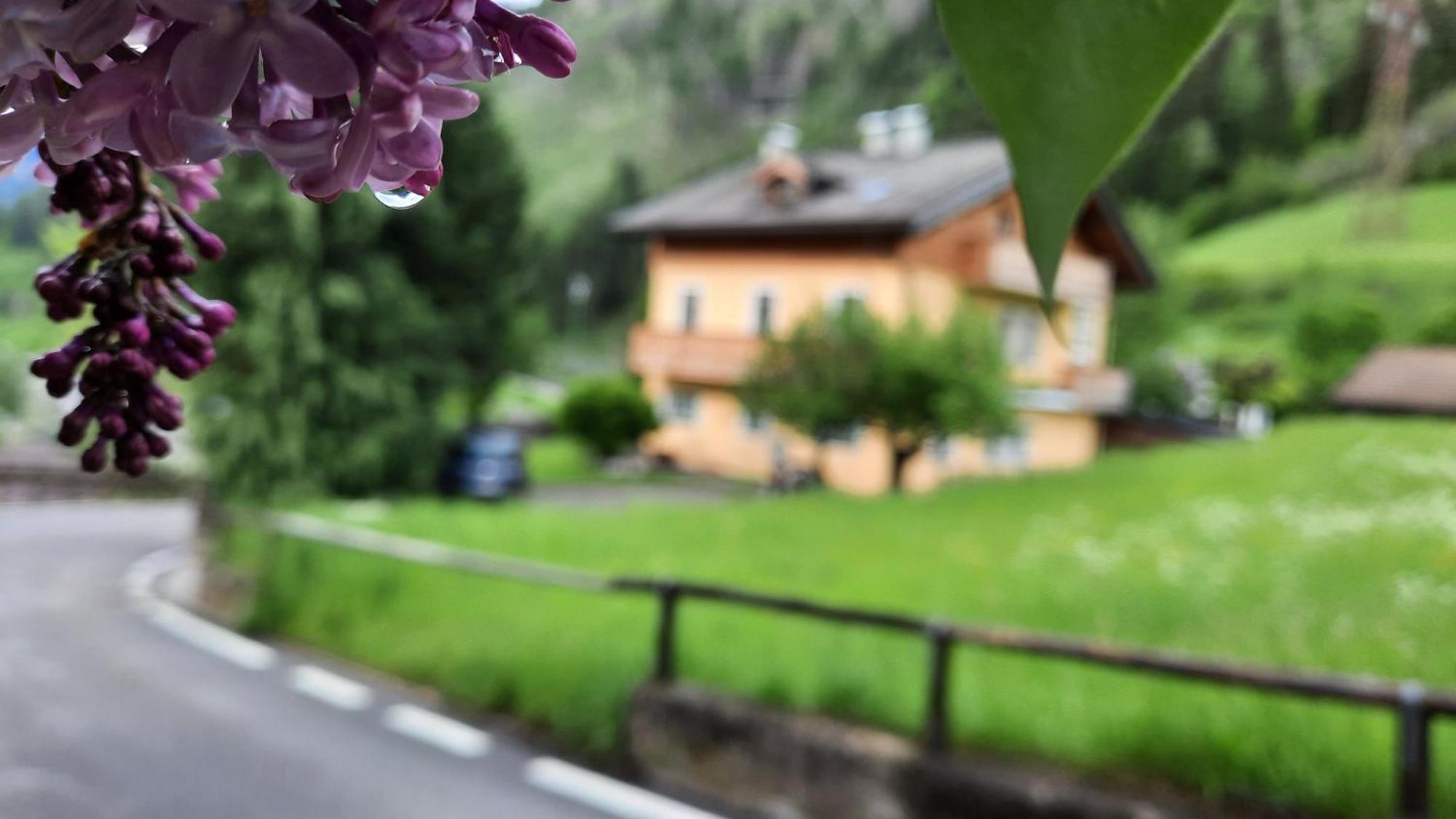 B&B B&Beautyfol Dolomites Adults Only Predazzo Exteriér fotografie