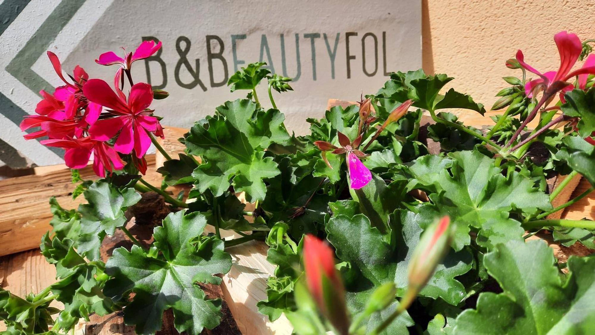 B&B B&Beautyfol Dolomites Adults Only Predazzo Exteriér fotografie