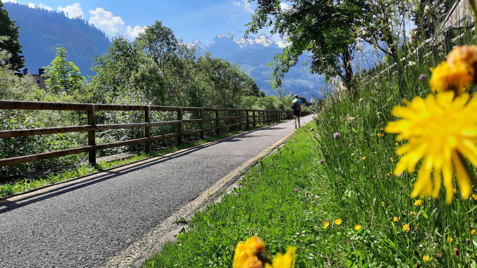 B&B B&Beautyfol Dolomites Adults Only Predazzo Exteriér fotografie